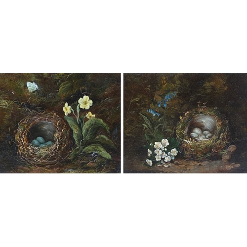 325 - A pair of Victorian still life paintings depicting a birds nest, primrose and bluebells, oil on canv... 