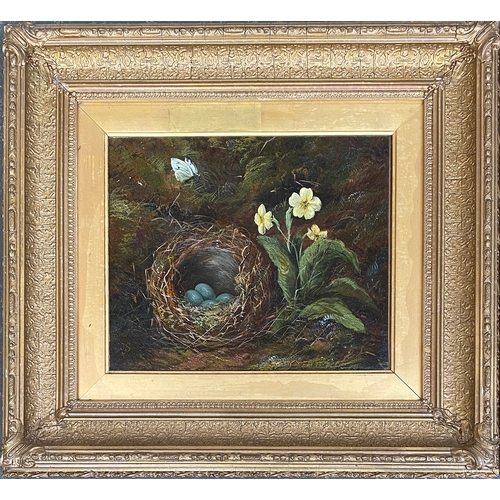 325 - A pair of Victorian still life paintings depicting a birds nest, primrose and bluebells, oil on canv... 