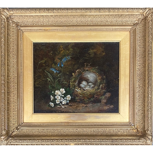 325 - A pair of Victorian still life paintings depicting a birds nest, primrose and bluebells, oil on canv... 