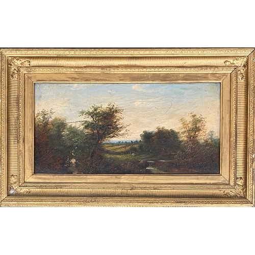 301 - A pair of 19th century oil on cavas of pastoral landscapes, one AF, each approx. 20x40cm