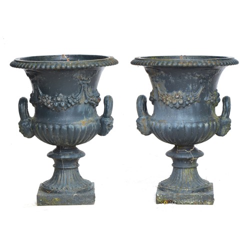 475 - A pair of heavy cast iron garden urns of campana form, decorated with swags of fruit on a square bas... 