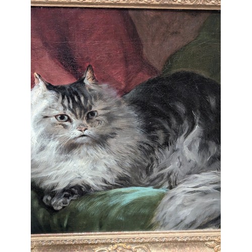 329 - A late 19th century/early 20th century oil on canvas of a fluffy Maine Coon cat, monogrammed CJ, 40x... 