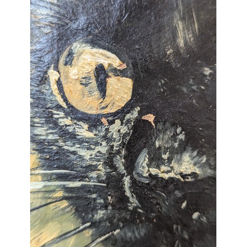 327 - Louis William Wain (1860-1939), black cat, oil on canvas laid on board, 29x24cm

Provenance: private... 