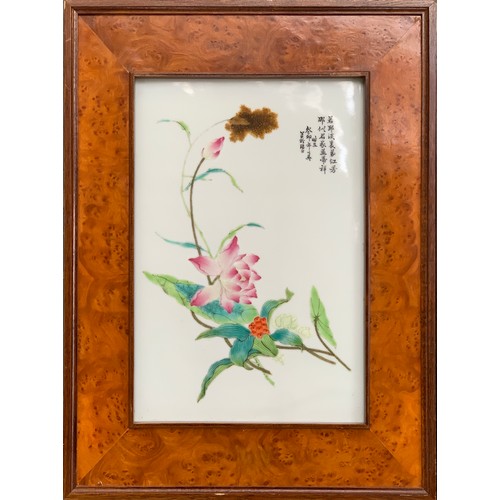 217 - A set of four Chinese famille rose porcelain plaques, each painted depicting magnolias, chrysanthemu... 