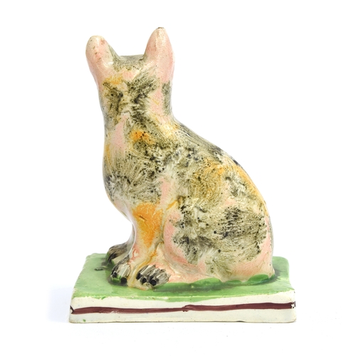 165 - An early 19th century Pearlware of a cat, possibly Scottish, painted in black, ochre and red, seated... 