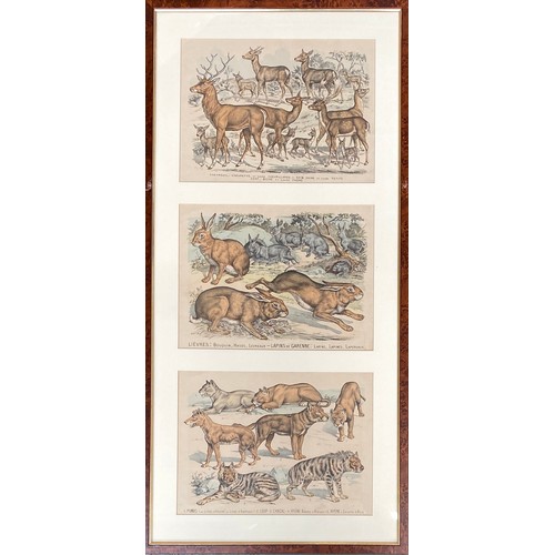 260 - After Gabriel Gostiaux (1838-1910), a set of twelve late 19th century hand coloured French prints of... 