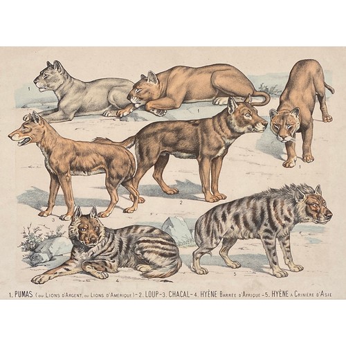 260 - After Gabriel Gostiaux (1838-1910), a set of twelve late 19th century hand coloured French prints of... 