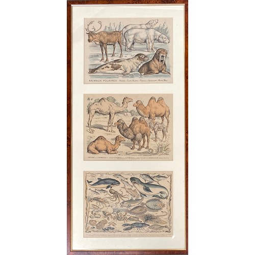 260 - After Gabriel Gostiaux (1838-1910), a set of twelve late 19th century hand coloured French prints of... 