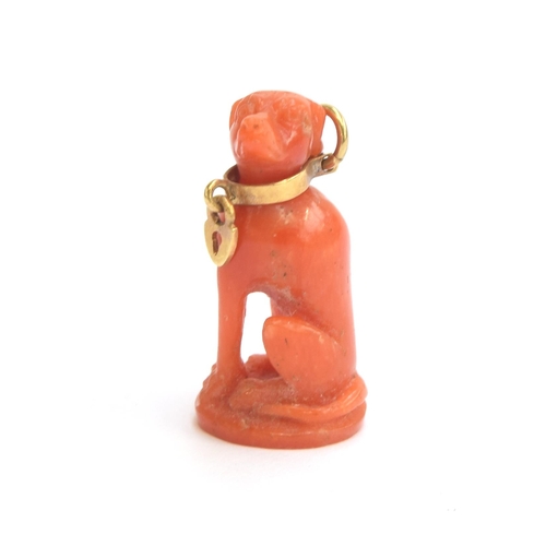 4 - A Victorian Grand Tour carved coral pendant in the form of a sighthound, with gold collar and padloc... 