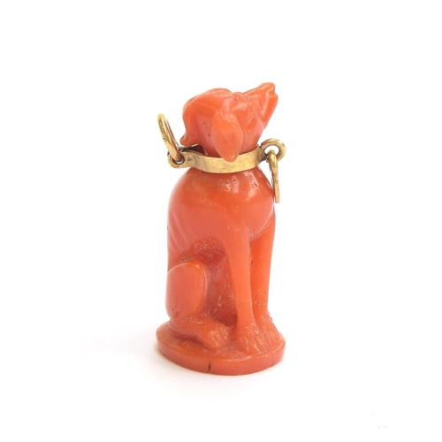 4 - A Victorian Grand Tour carved coral pendant in the form of a sighthound, with gold collar and padloc... 