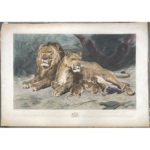 256 - After Rosa Bonheur (1822-1899), 'The Lion at Home', large coloured engraving by WH Simmons and T I A... 