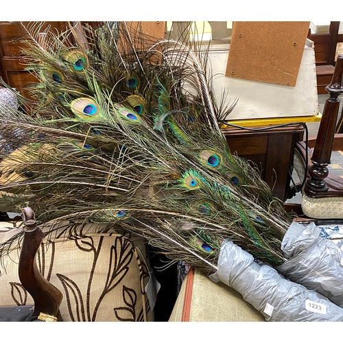 1223 - Two bags of peacock feathers