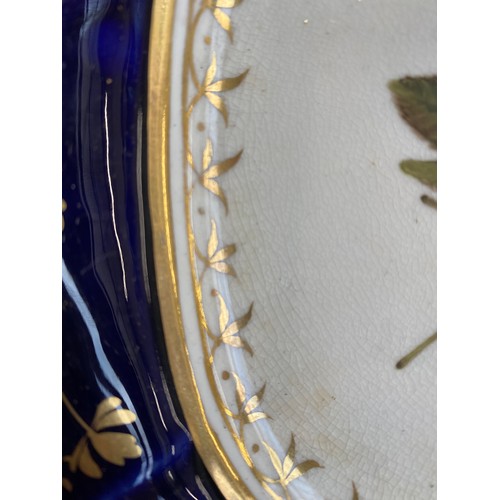 193 - A set of twelve 19th century cobalt blue and gilt dessert plates, each with central hand painted flo... 