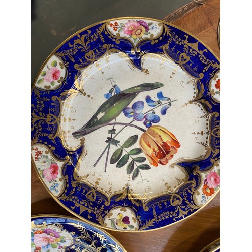 193 - A set of twelve 19th century cobalt blue and gilt dessert plates, each with central hand painted flo... 