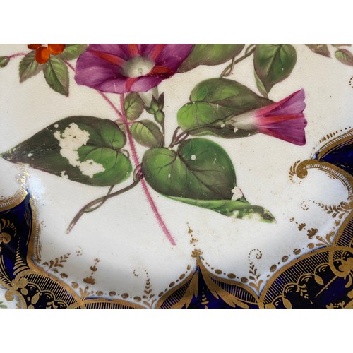 193 - A set of twelve 19th century cobalt blue and gilt dessert plates, each with central hand painted flo... 