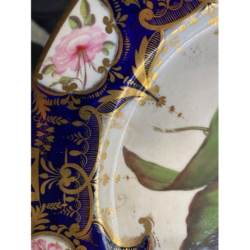 193 - A set of twelve 19th century cobalt blue and gilt dessert plates, each with central hand painted flo... 