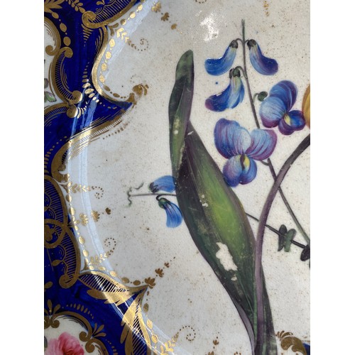 193 - A set of twelve 19th century cobalt blue and gilt dessert plates, each with central hand painted flo... 