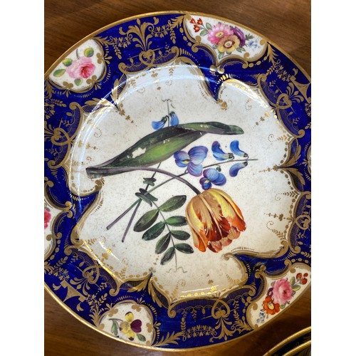 193 - A set of twelve 19th century cobalt blue and gilt dessert plates, each with central hand painted flo... 