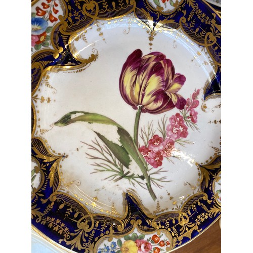 193 - A set of twelve 19th century cobalt blue and gilt dessert plates, each with central hand painted flo... 