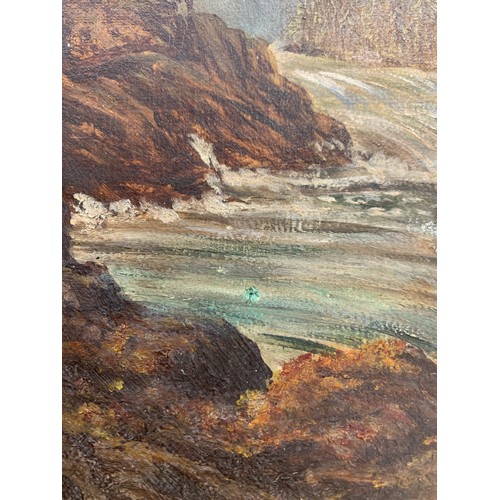 610 - Early 20th century oil on canvas, river and rocky mountain landscape, signed indistinctly to reverse... 