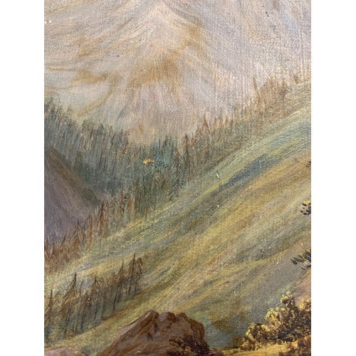 610 - Early 20th century oil on canvas, river and rocky mountain landscape, signed indistinctly to reverse... 