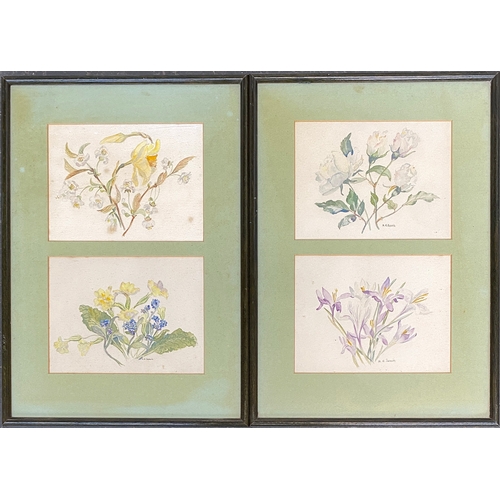 431 - Four early 20th century floral botanical studies, watercolour, framed in pairs, each 14.5x19.5cm