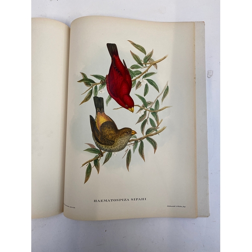 605 - 'Mr Gould's Tropical Birds', The Ariel Press, 'containing twenty four plates from John Gould's Folio... 