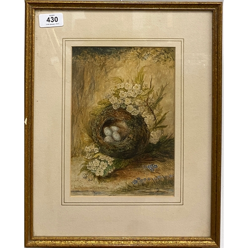 430 - Manner of William Cruickshank (1848-1922), still life of birds nest, watercolour, 24x16.5cm