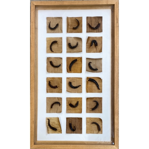 652 - Interior design interest: 'Chilli Peppers', two framed sets of eighteen dried and mounted chillies, ... 