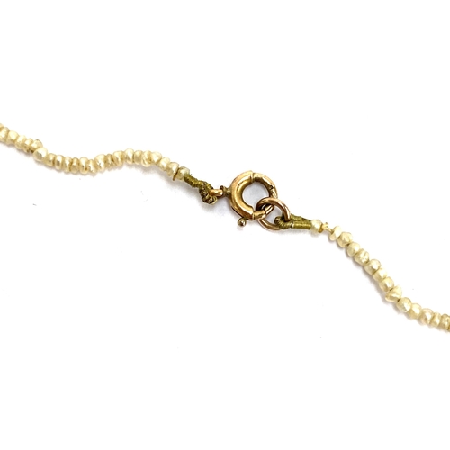 26 - An Edwardian single strand seed pearl necklace fastening with a 9ct gold bolt clasp, 36cmL unclasped... 