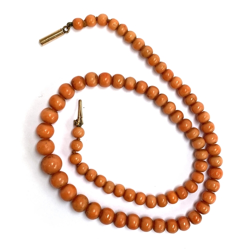 28 - A late 19th/early 20th century coral bead necklace, fastening with a yellow metal barrel clasp, 40cm... 