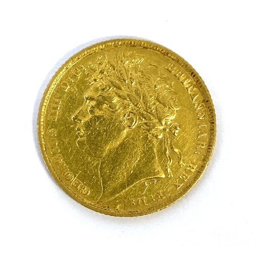 Lot 21        
