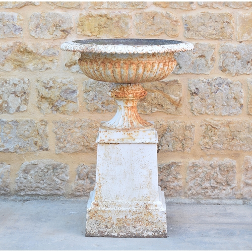 573 - A large Victorian white painted cast iron tazza urn, with egg and dart flared rim, over a half reede... 