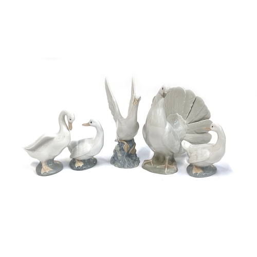 109 - A Lladro dove 19cmH, together with a quantity of Nao geese figurines