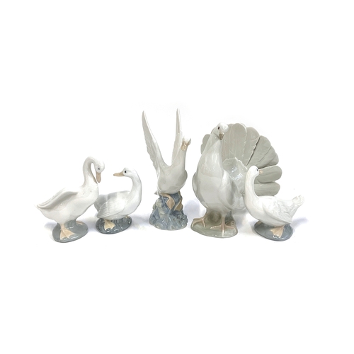 109 - A Lladro dove 19cmH, together with a quantity of Nao geese figurines