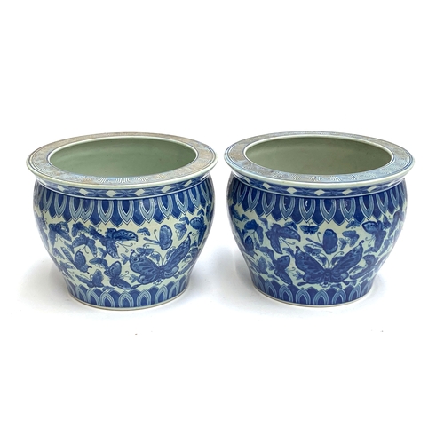 1007 - Interior design interest: A matched pair of Chinese blue and white porcelain goldfish bowls/planters... 