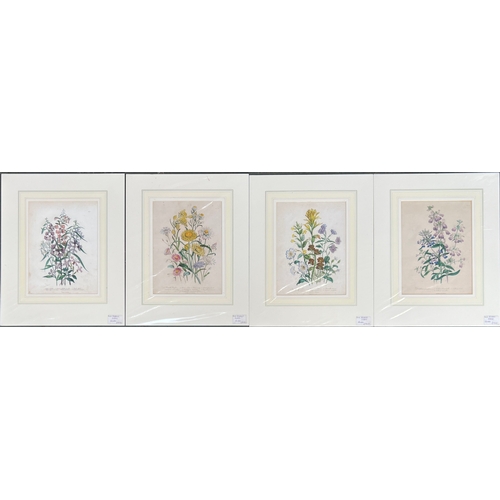 840 - A set of four 19th century coloured botanical engravings, printed by Day & Haghe, Lithographers to t... 