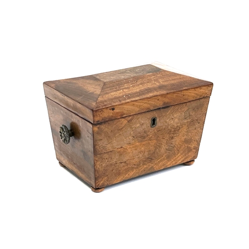 305 - A Regency mahogany sarcophagus form tea caddy, 19.5cmW