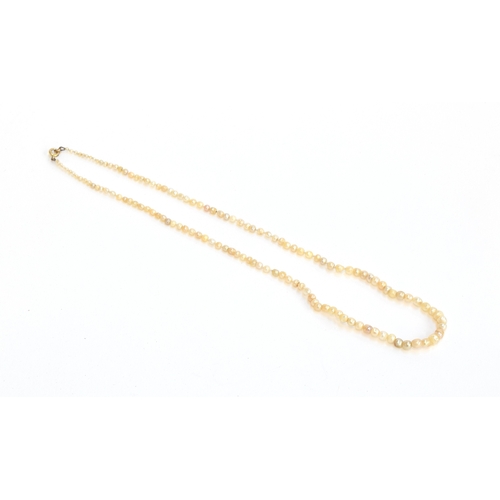 26 - A late 19th/early 20th century natural saltwater pearl necklace, the pearls ranging from 1.5mm to 5.... 
