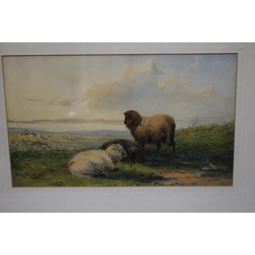 2 - FRANCIS WAINWRIGHT - TWO WATERCOLOURS DEPICTING SHEEP