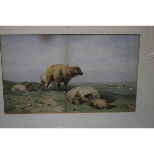 2 - FRANCIS WAINWRIGHT - TWO WATERCOLOURS DEPICTING SHEEP