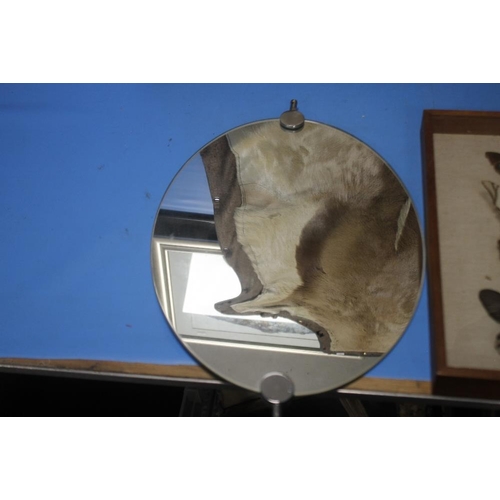 21 - AN OVAL MIRROR AND A SET OF MOUNTED, FRAMED BUTTERFLIES