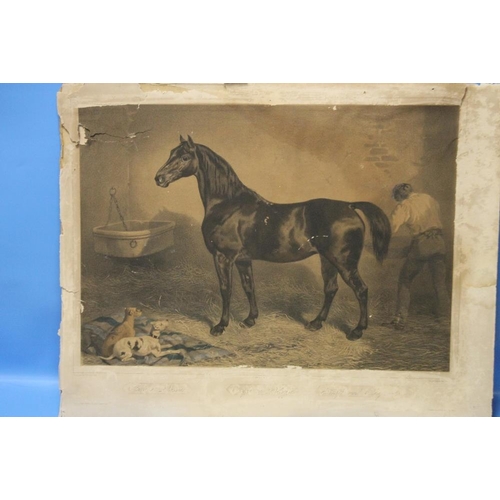 31 - THREE MOUNTED ENGRAVINGS - HORSES FRIGHTENED BY LIGHTNING, THE HORSE FEEDER AND ANOTHER  (3)