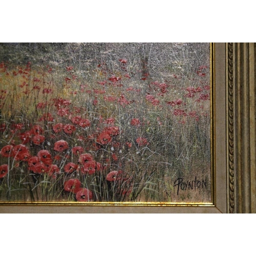 38 - TWO FRAMED OIL ON CANVAS PAINTINGS DEPICTING POPPIES SIGNED POYNTON (DEBORAH POYNTON)