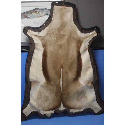 99A - A SPRINGBOK PELT