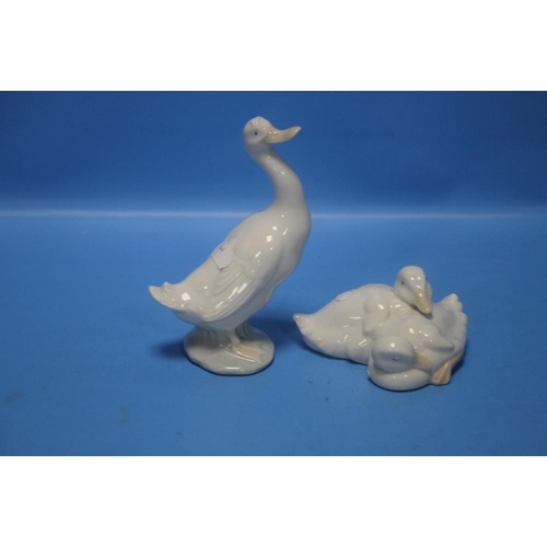 106 - A NAO GOOSE AND A NAO DUCK GROUP  (2)