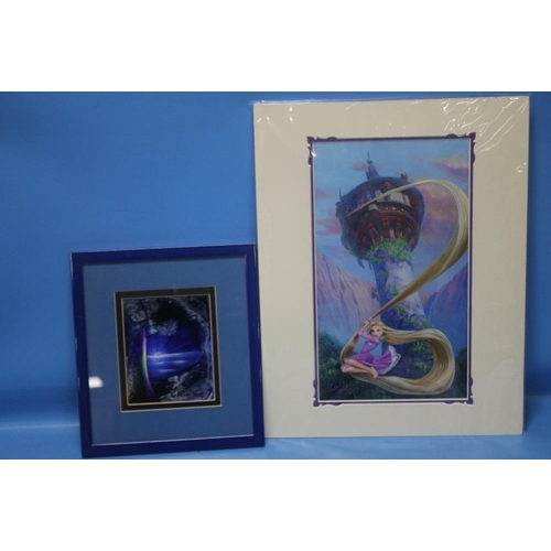 Lot 24        
