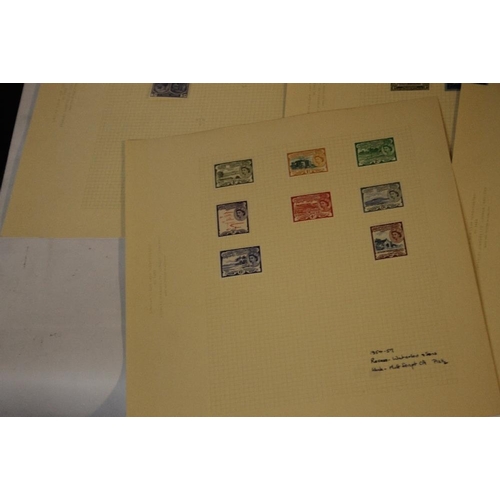 249 - STAMPS - ST KITTS-NEVIS ABOUT 100 NEVIS AND ST. CHRISTOPHER FROM FIRST TYPES, 1903 BADGE TYPE VALUES... 