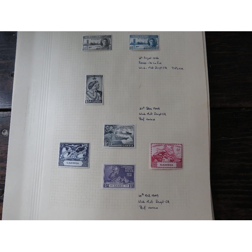 251 - STAMPS - GAMBIA MANY 100'S FROM GOOD RANGE CAMEOS 1/=, K.Ed to 2/6, KG5, including 1912 set 5/= (m) ... 