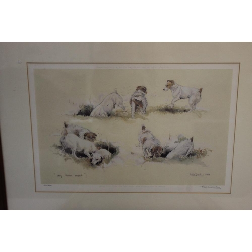 305 - A WATERCOLOUR OF A TERRIER DOG, signed 